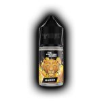 سالت انبه دکتر ویپ DR Vape Mango 30ml