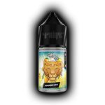 سالت انبه یخ دکتر ویپ DR Vape Mango Ice 30ml
